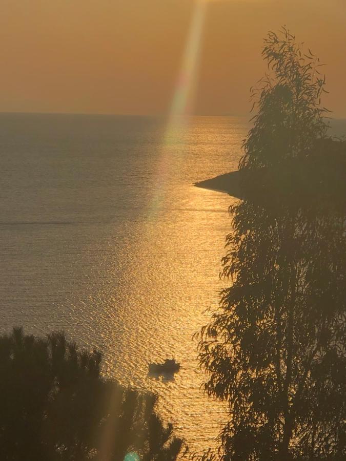 The Little House On The Hill Of Myrties Villa Dış mekan fotoğraf