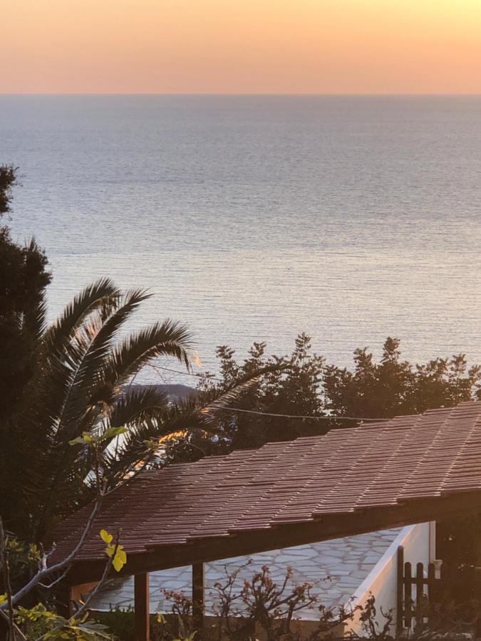 The Little House On The Hill Of Myrties Villa Dış mekan fotoğraf